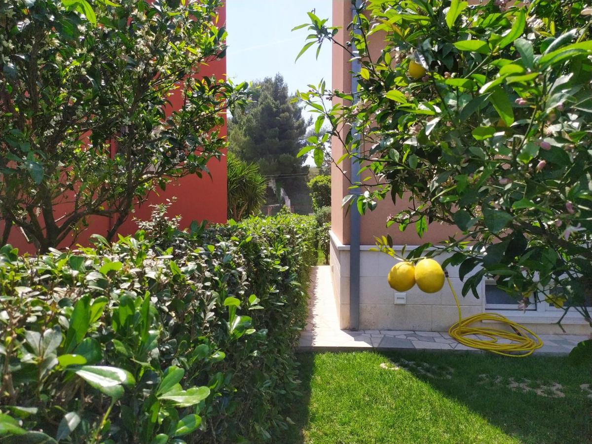 Apartmani Skejic Split Buitenkant foto